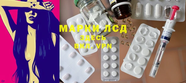 индика Белоозёрский