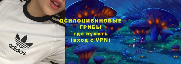 ПСИЛОЦИБИНОВЫЕ ГРИБЫ Белокуриха