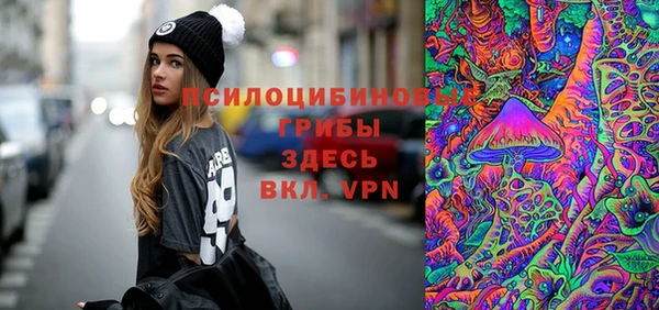 ПСИЛОЦИБИНОВЫЕ ГРИБЫ Белокуриха