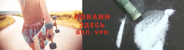 индика Белоозёрский