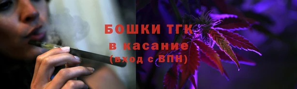 индика Белоозёрский