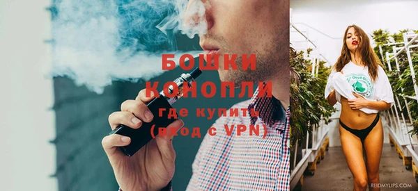 индика Белоозёрский