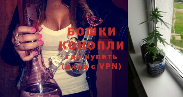 индика Белоозёрский