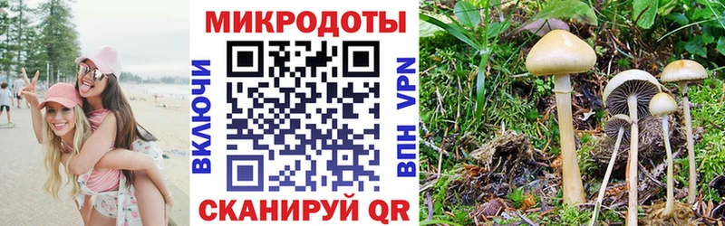 Галлюциногенные грибы GOLDEN TEACHER  дарк нет Telegram  Яблоновский 